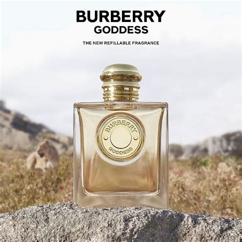 burberry new fragrance|burberry goddess fragrantica.